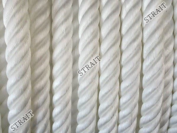 Polypropylene Tensile Strength
